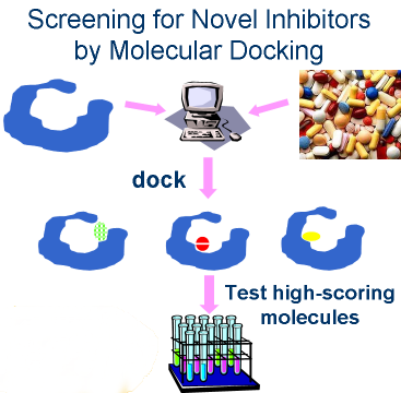 Molecular Docking